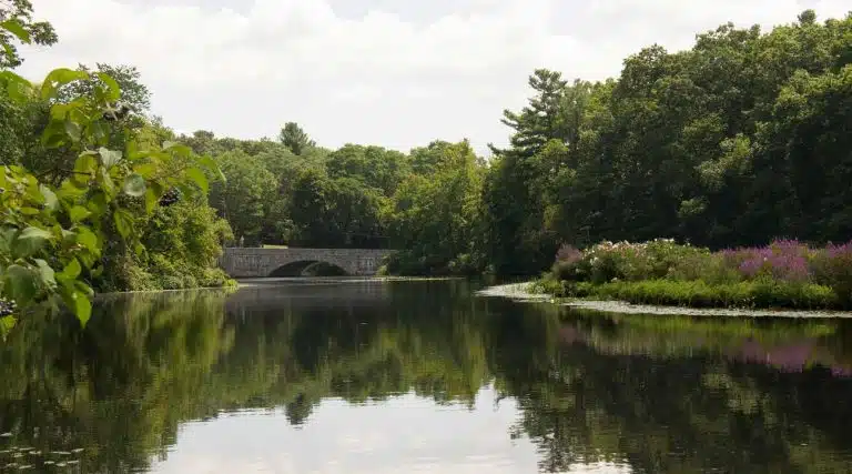 bridge overlooking a pond in Brockton, Massachusetts