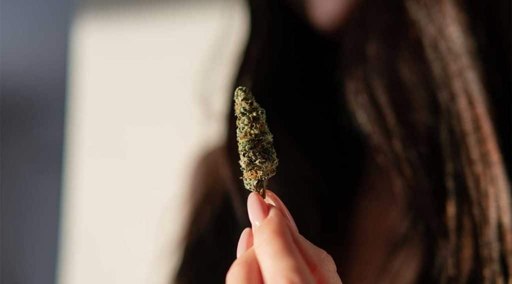 young women holding marijuana in her hand