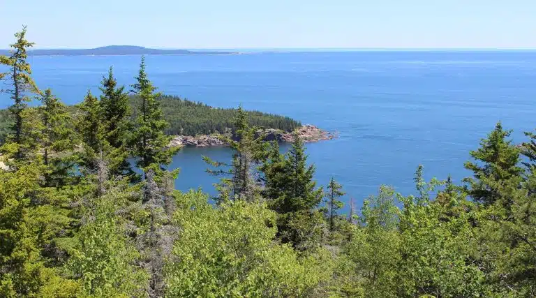 Newport Cove and Great Head Mountain from the Gorham Mountain Trail at Acadia National Park in Gorham, Maine
