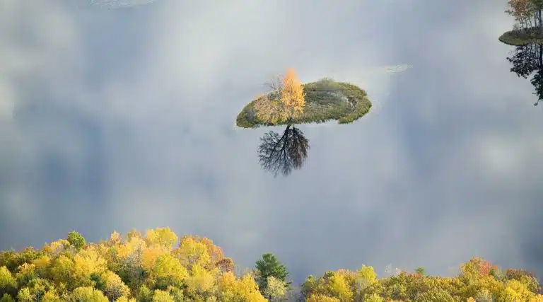 Aerial view of trees in autumn on a pond near Sanford, Maine