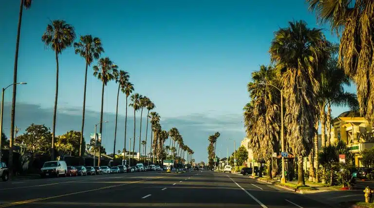 beaches, palm trees and sunshine in California