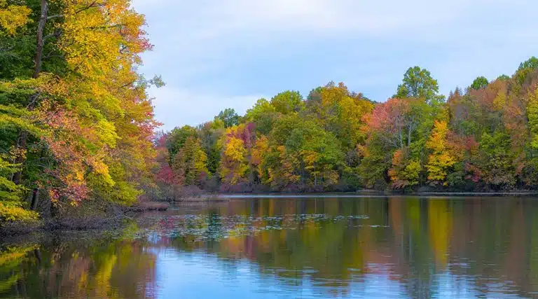 river in Irvington, New Jersey during Autumn
