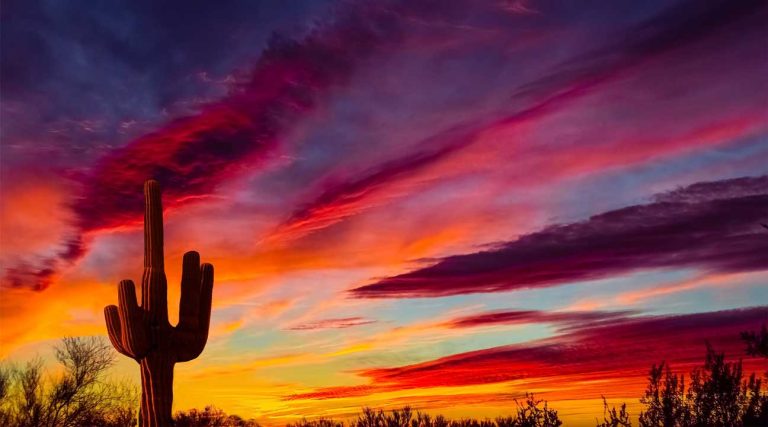 arizona skyline at sunset cactus desert sunset