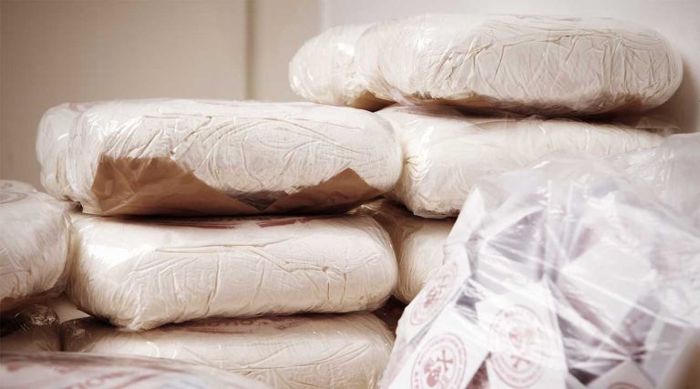 kilos of cocaine seized by U.S. customs cocaine statistics
