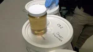 containers and jars of liquid meth