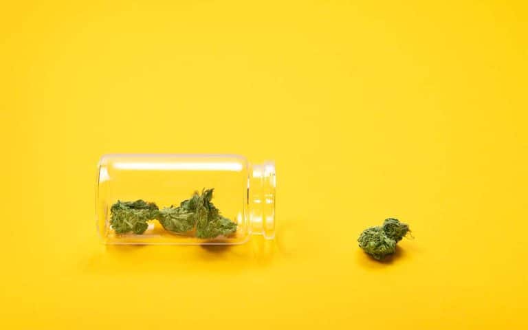 Is Marijuana A Gateway Drug? | What The Research Says