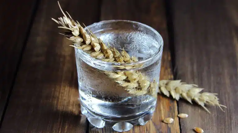 Drinking Everclear | What Makes Grain Alcohol Dangerous?