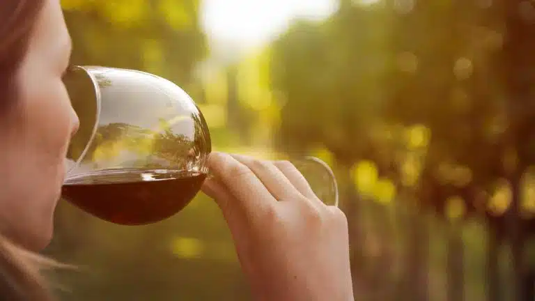 Drinking Wine | Effects, Benefits, & Risks