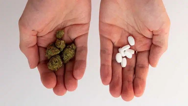Mixing Tramadol & Weed | Dangers Of Combining Marijuana And Tramadol