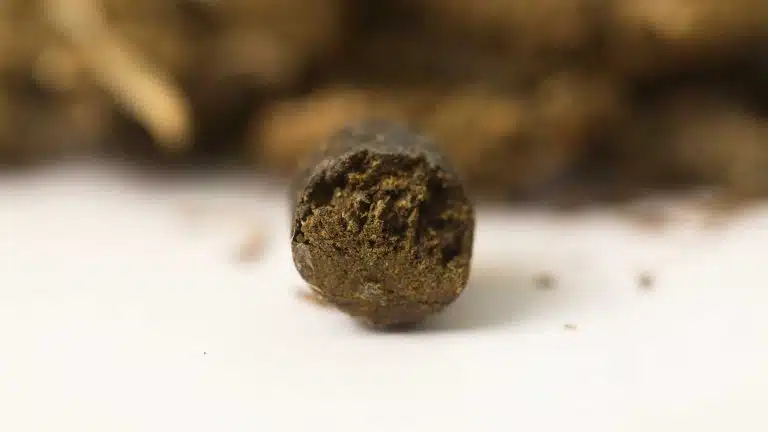 What Is Hash? | Hashish Vs. Marijuana