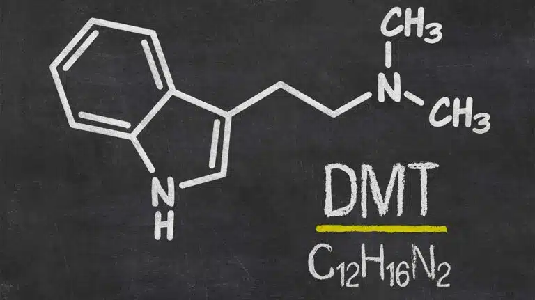 Snorting DMT | Effects & Dangers
