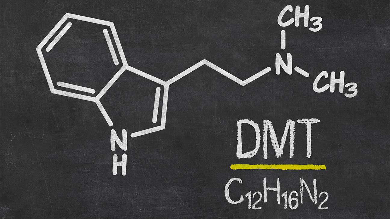 What Is DMT & The Dangers